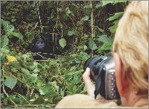 Scientists study wildlife closely.