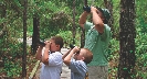 Photograph of people in a woods observing something through binoculars