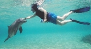 Photograph of a diver reaching out to a seal in an aquarium