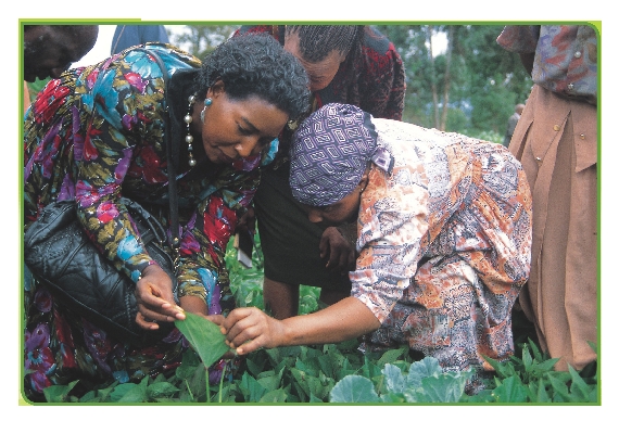 Scientist Florence Wambugu wants to help farmers grow more food.