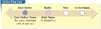 Action Time Line