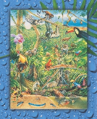 Illustration of animals in a tropical rain forest scene