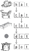 Illustration of pictures and cards for the words “hat, cat, cot, dot” and “pot”