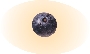 Photograph of a blueberry