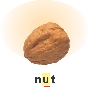 Photograph of a nut with label. The “u” is underlined.