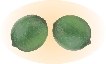 Photograph of two limes