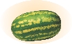 Photograph of a watermelon