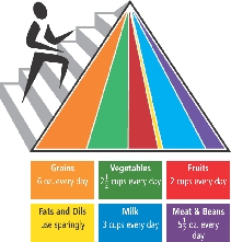 FOOD PYRAMID