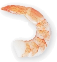 Photograph of a shrimp