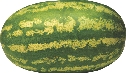 Photograph of a watermelon