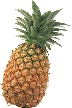 Photograph of a pineapple