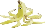 Photograph of an octopus made from a banana peel