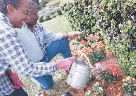 Photograph of a woman watering a garden