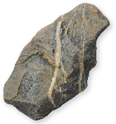 Photograph of a grey rock with bands of white running through it