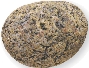 Photograph of a round, rough rock made up of several colors