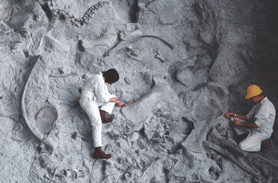 Geologists look at fossils frozen in rock.