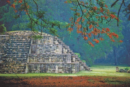 The Maya lived in buildings called pyramids.