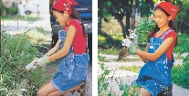 Photographs: teen in process of weeding; same teen with weed out of ground and in her hand