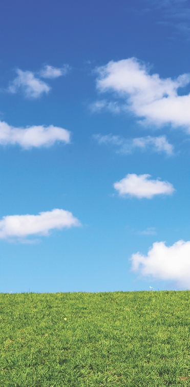 Photograph of grass and a blue sky with clouds