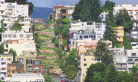 Lombard Street in San Francisco is called “the crookedest street in the world.” It is in a neighborhood called Russian Hill.