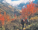 Photograph of two people hiking in the mountains in fall