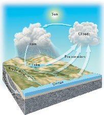 THE WATER CYCLE