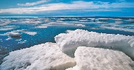 Photograph of ice floes in the ocean