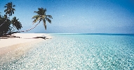 Photograph of a tropical beach by the ocean