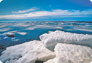 Chunks of ice float in the Arctic Ocean.