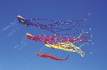 Photograph of several colorful kites flying side by side