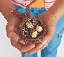 Photograph of a pair of hands holding a bird's nest with eggs