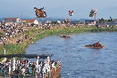 Photograph of people flying colorful kites