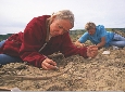 Photograph of people using tools to unearth samples of bone or rock