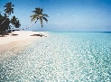 Photograph of a tropical beach by the ocean