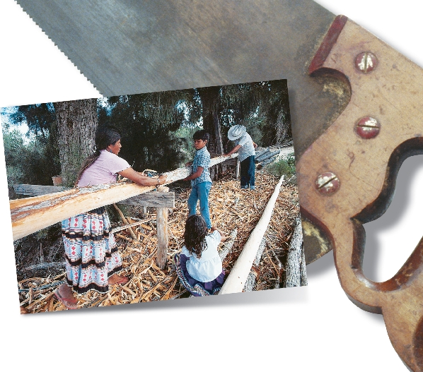 photograph of an Native American family working together to take bark off a tree