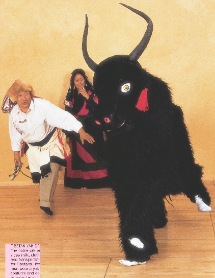 photograph of two people dancing in a yak costume with two other Tibetan dancers