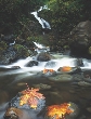 Photograph of a rocky stream.