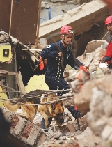 Photograph of a rescue dog and worker walking through building debris.