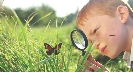 Photograph of a boy looking at an insect (butterfly) through a magnifying glass