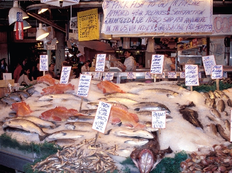 Photograph of fish on ice at the Pike Place fish market. Each kind of fish is labeled.