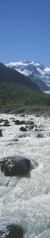 Photograph showing mountains with snow and trees far away and fast river moving over rocks