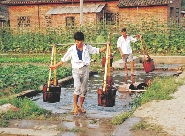 Villagers collect water from a river.