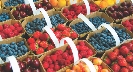 Photograph of separate baskets full of cherries, blueberries, strawberries, and raspberries