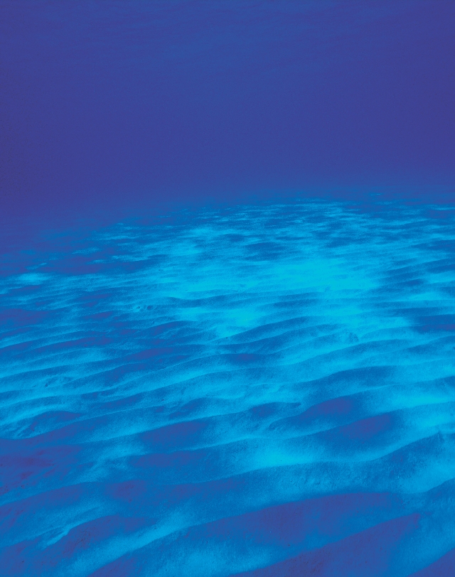 Photograph of blue water with small waves