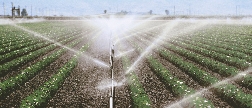 Farmers use fresh water to irrigate their crops.