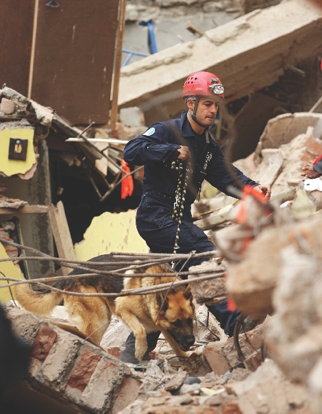 A rescue worker and a trained rescue dog search for people after an earthquake in Peru.