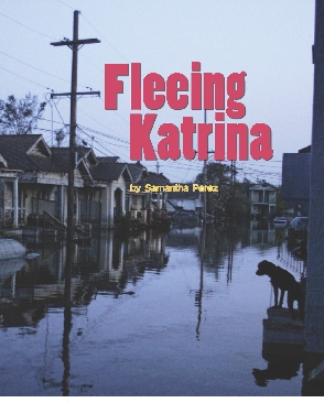 Photograph of flooded houses and street in New Orleans. A dog sits on a stoop of one of the houses.