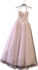 Photograph of Samantha's pink prom dress on a hanger