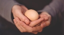 Photograph of a pair of hands cupped, holding an egg