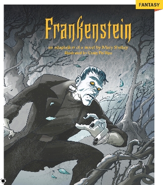 Photograph of the book cover of “Frankenstein”